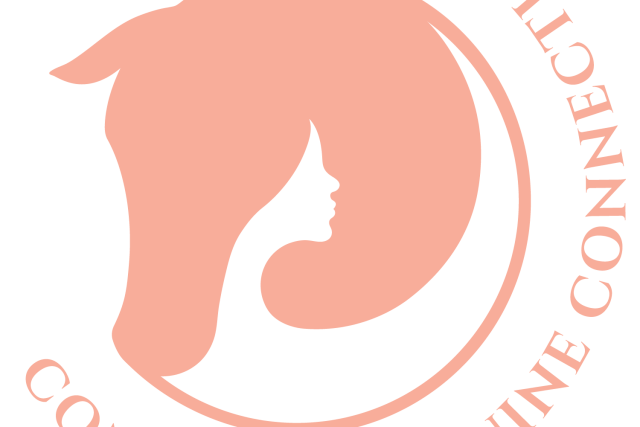 Conscious Equine Connections