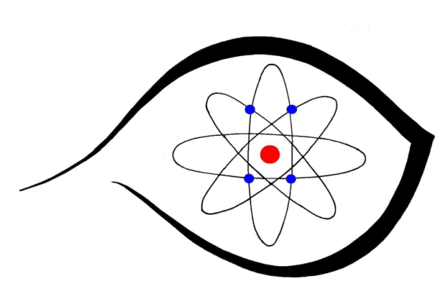 Malaspina Quantum Wellness